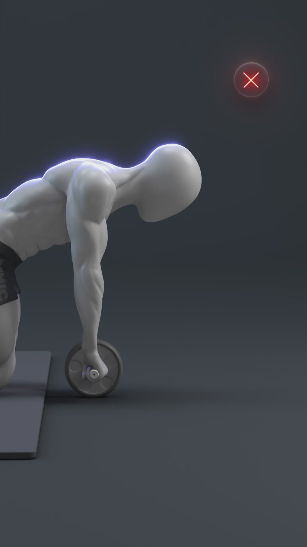 LORDEX Pro Ab Roller – Home Gym Core Strength Trainer