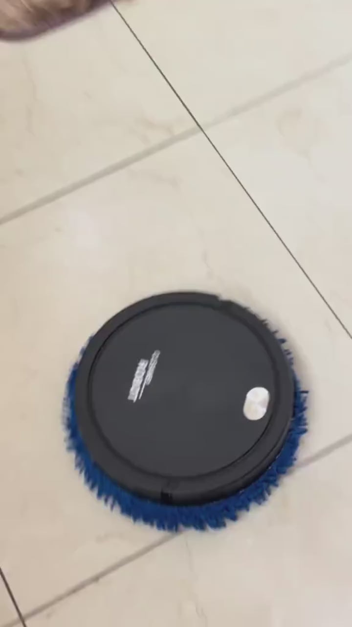 Fully Automatic Intelligent Mute Sweeping Robot